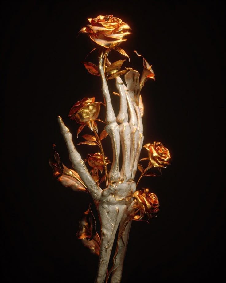 Serie 1 - Camila